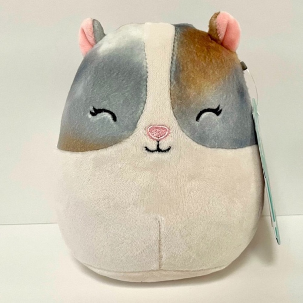 Brand new 5" Pax the Hamster Squishmallow! NWT
